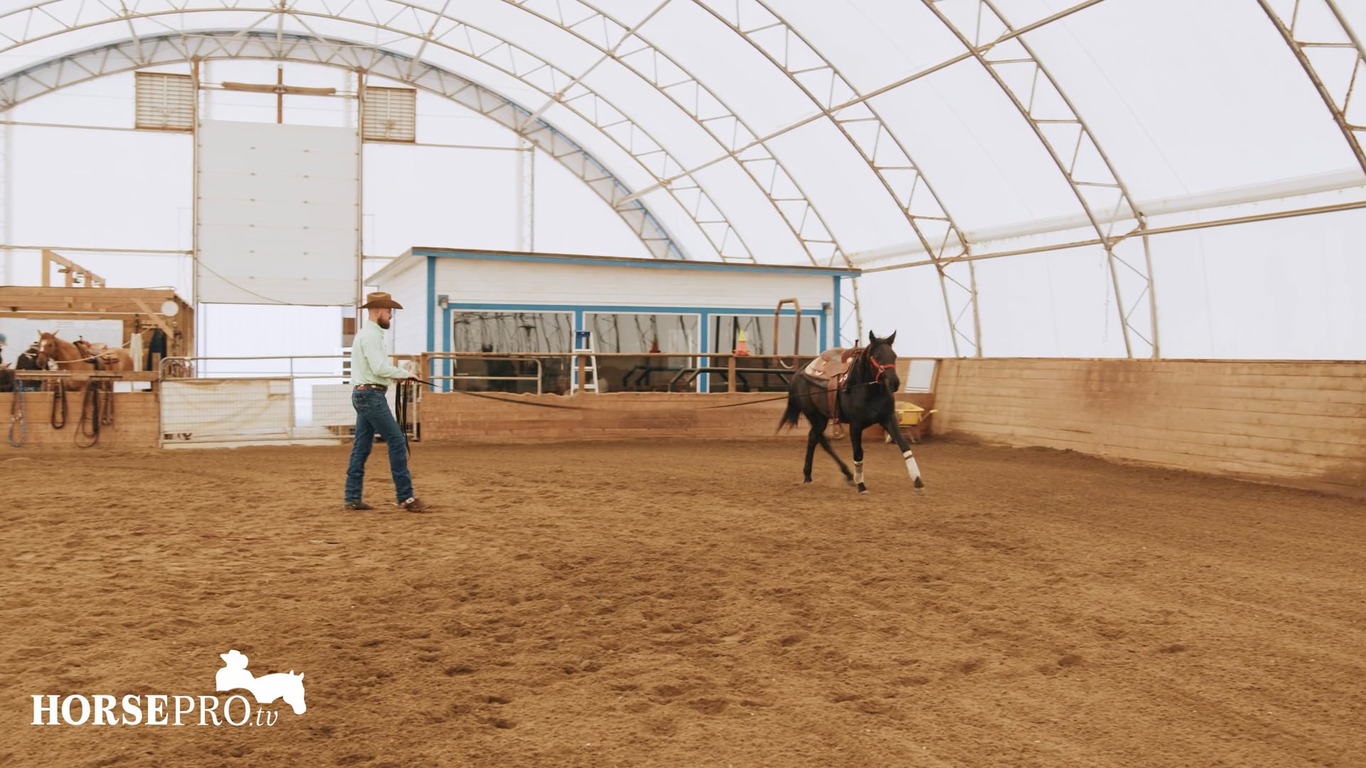 Episode 6: Lunging to Prepare for the First Ride