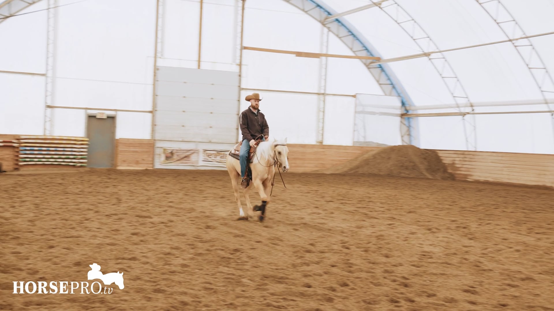 Episode 11: Reining Maneuvers with a Young Horse