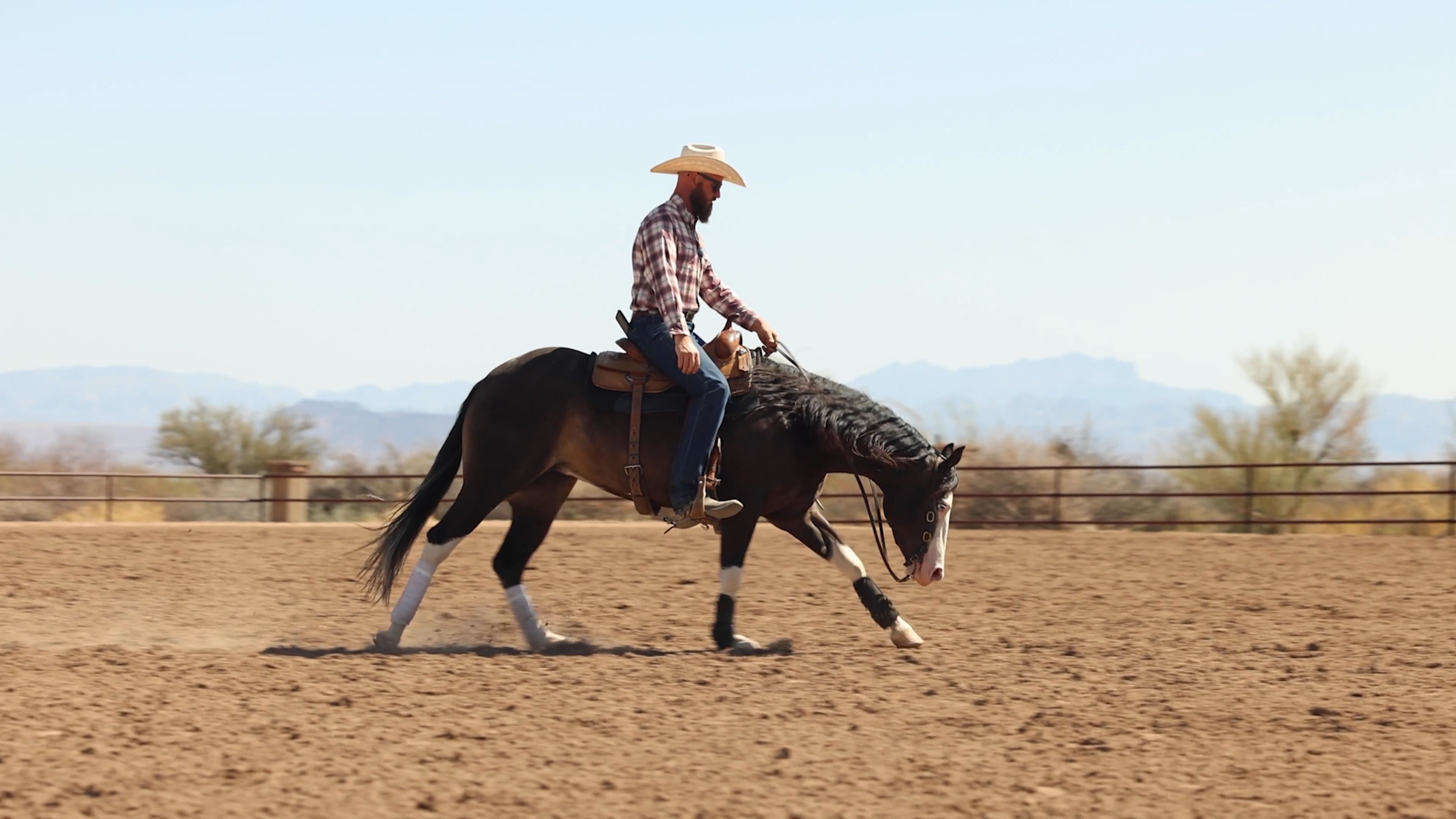Episode 8: Getting Your Horse’s Focus