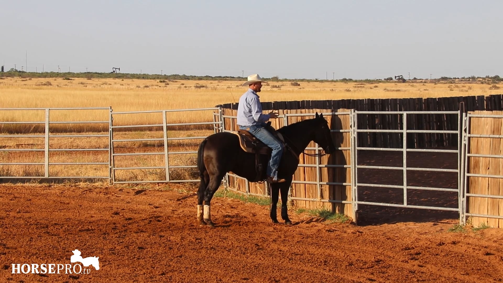 Fencing a Bridle Horse