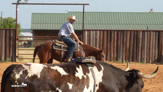 Ruth NCHA Futurity Prep 2026