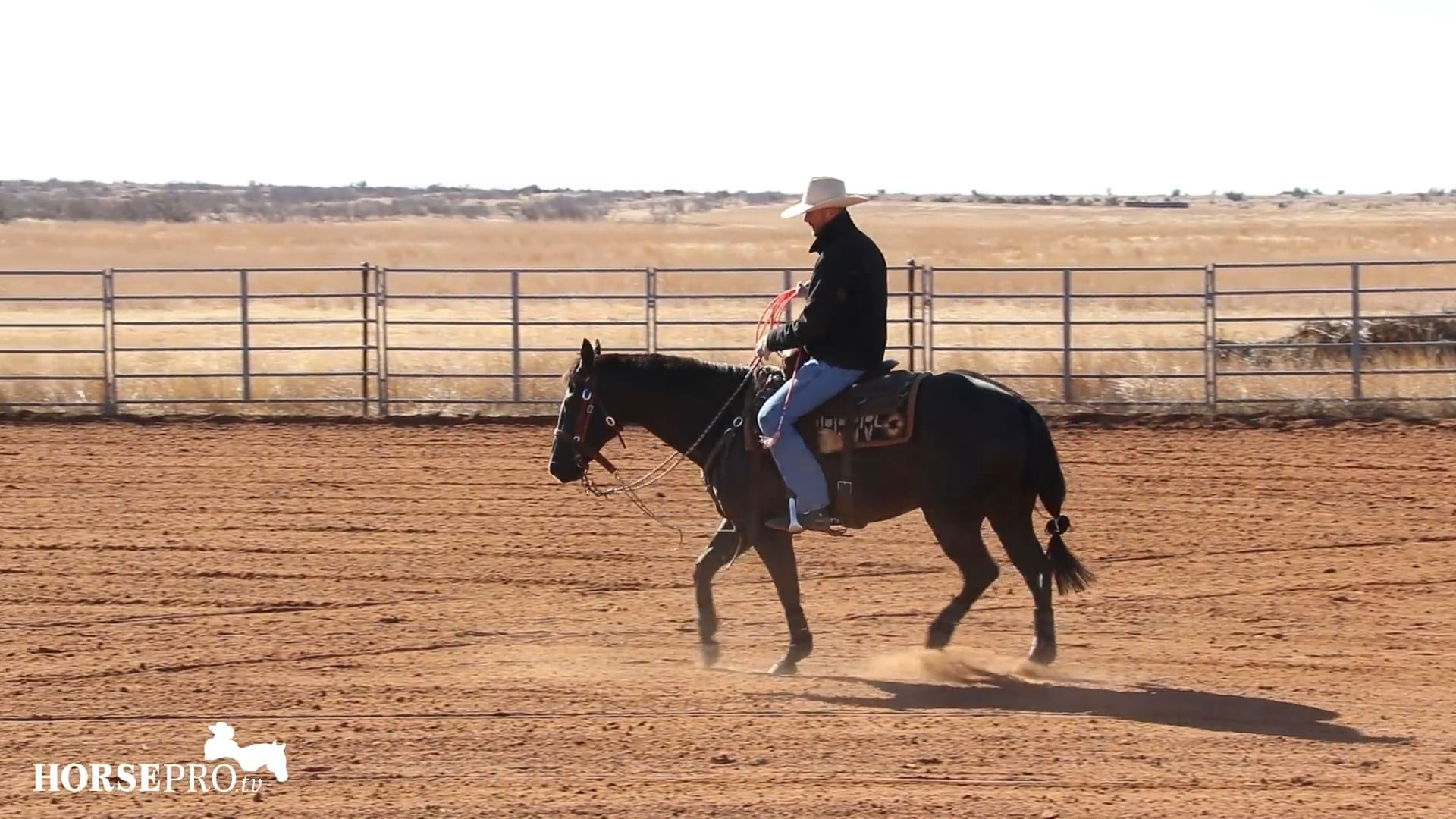 Getting a Horse ready to Rope