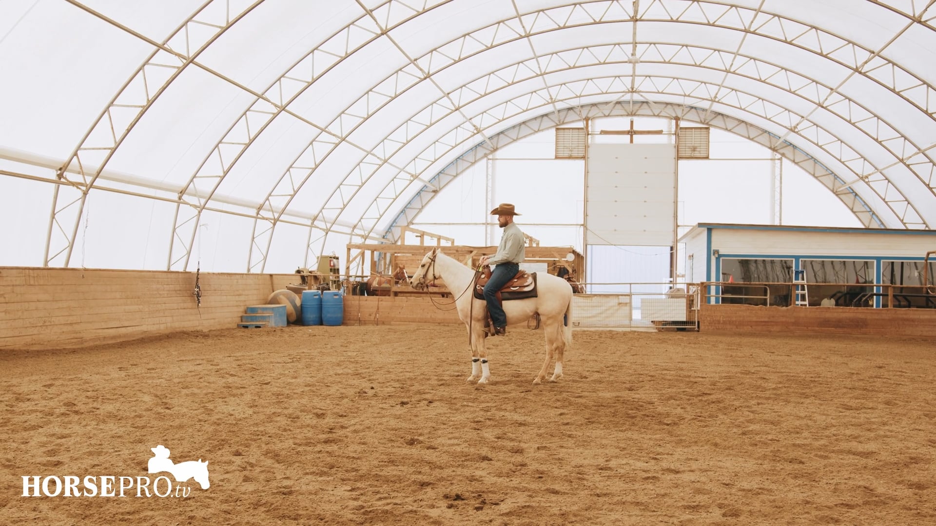 Episode 5: Building the "Woah" on a New Colt