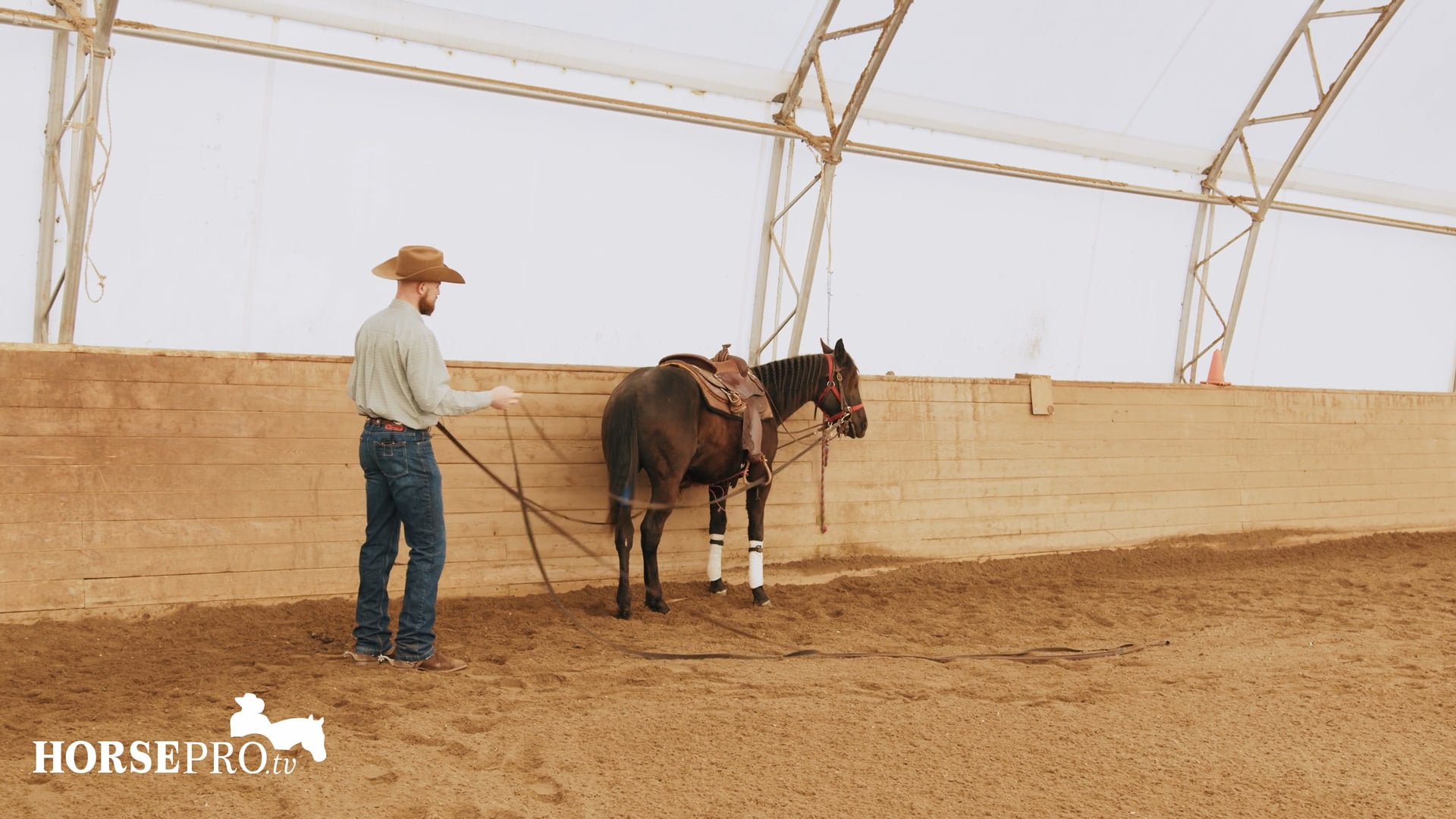 Episode 4: Ground Driving a Two Year Old