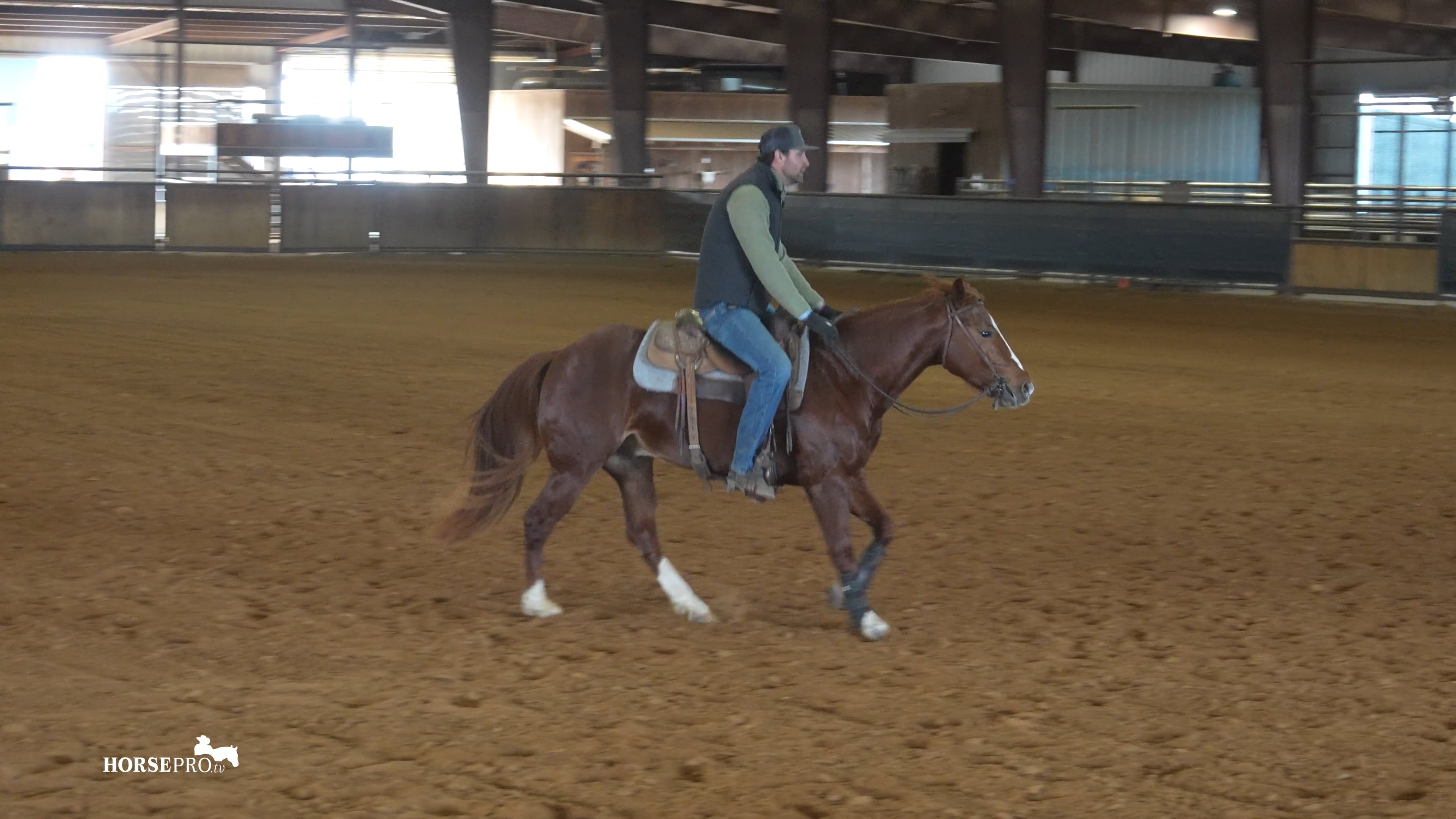 Episode 3: Connecting the Face to the Feet and Driving with the Hind End