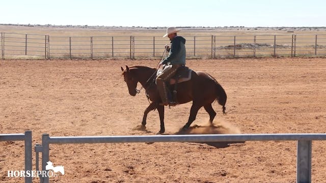 Tuning a Show Horse