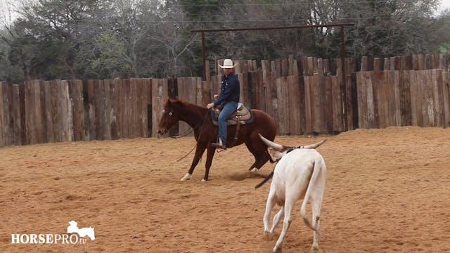 Episode 9: Ranch Mare Week 9 of 3 Yea...