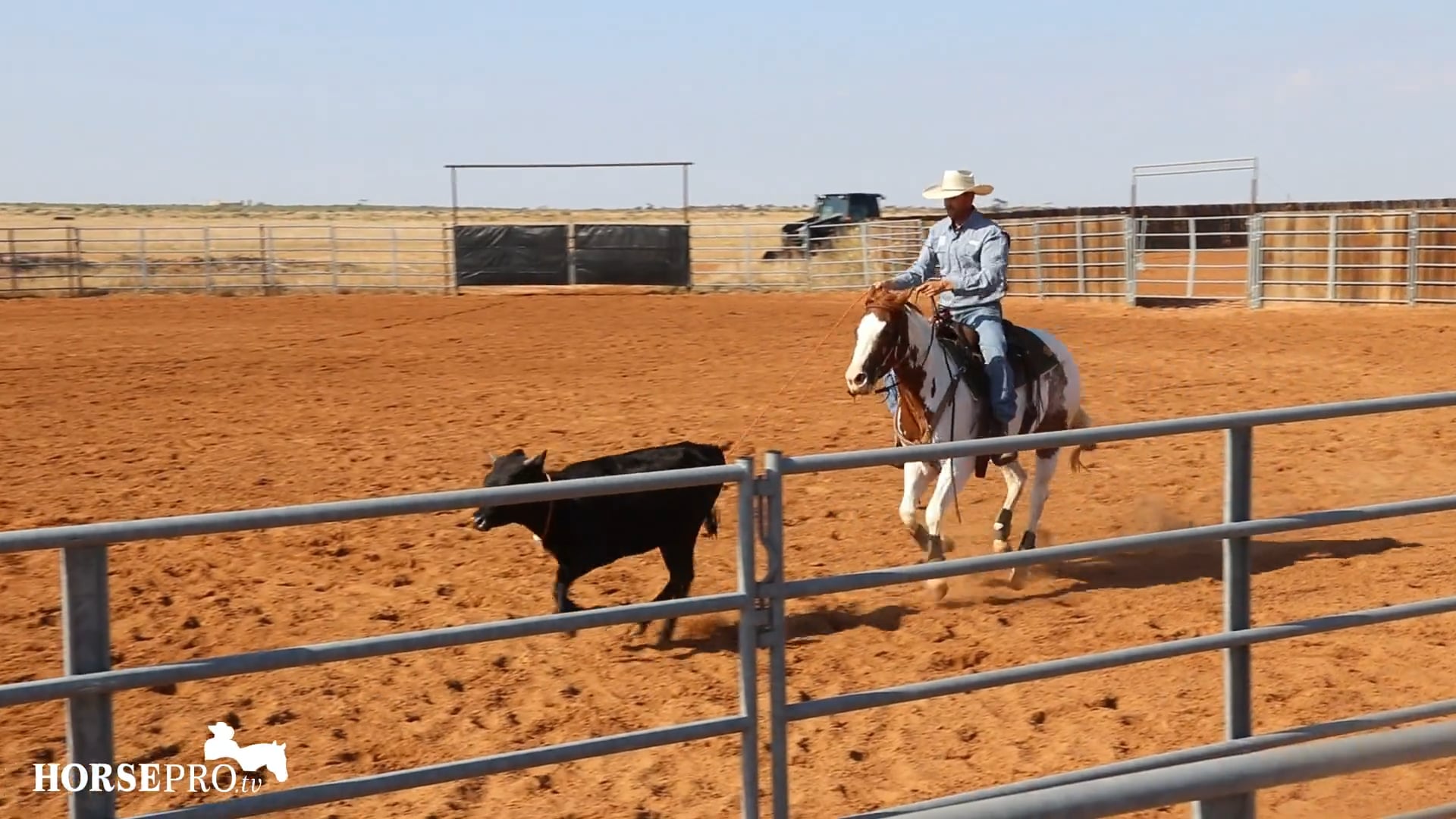 Working a Rope Horse