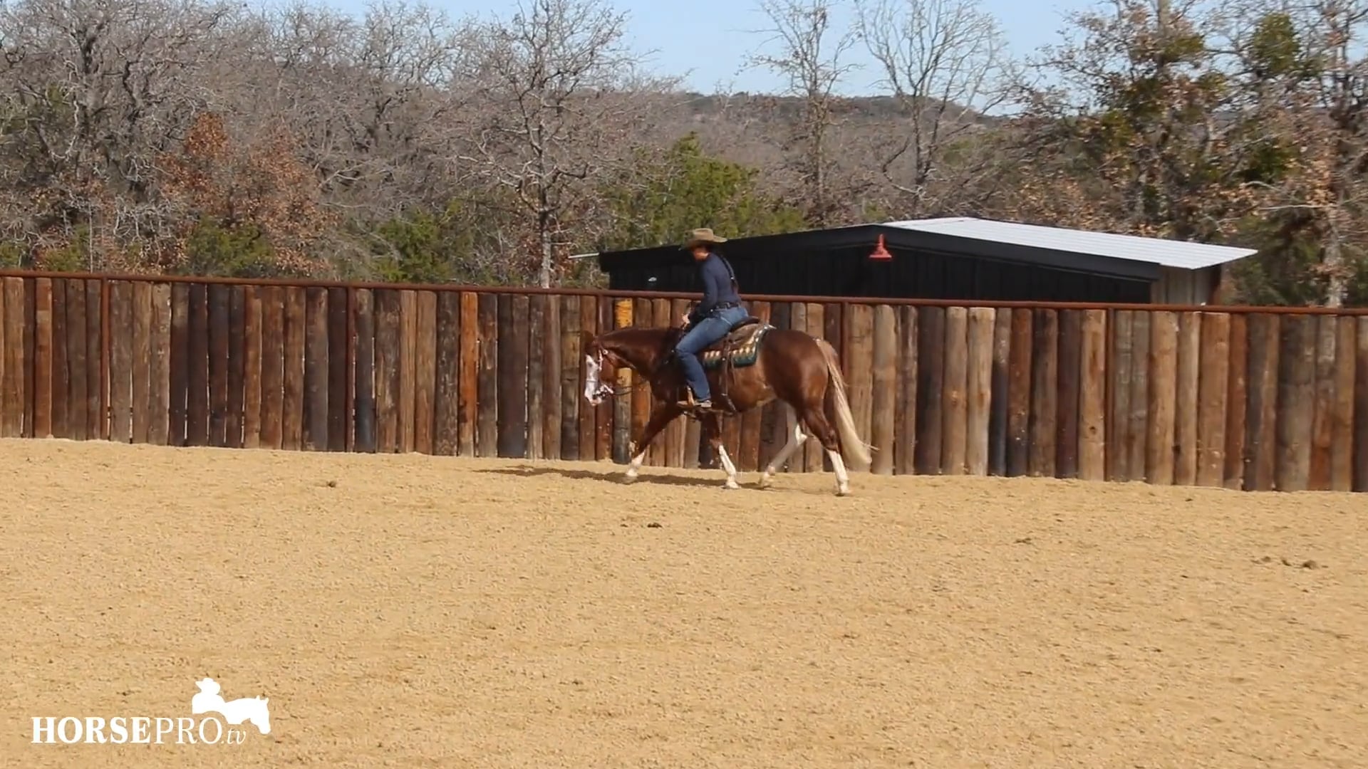 Episode 1: Warming Up and Working on the Extended Trot