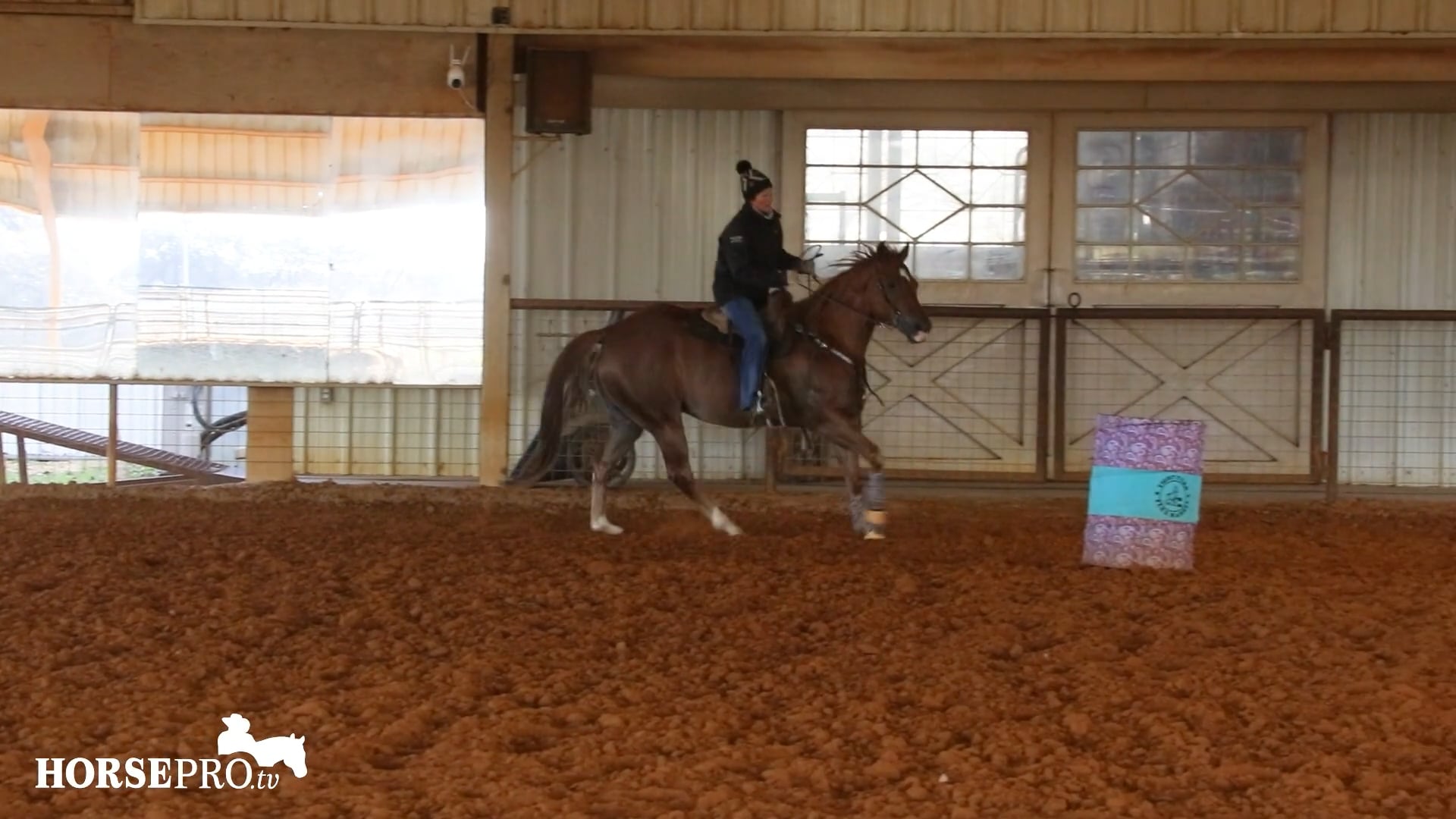 Episode 3: Keeping a Horse's Mind Relaxed Between Competitions