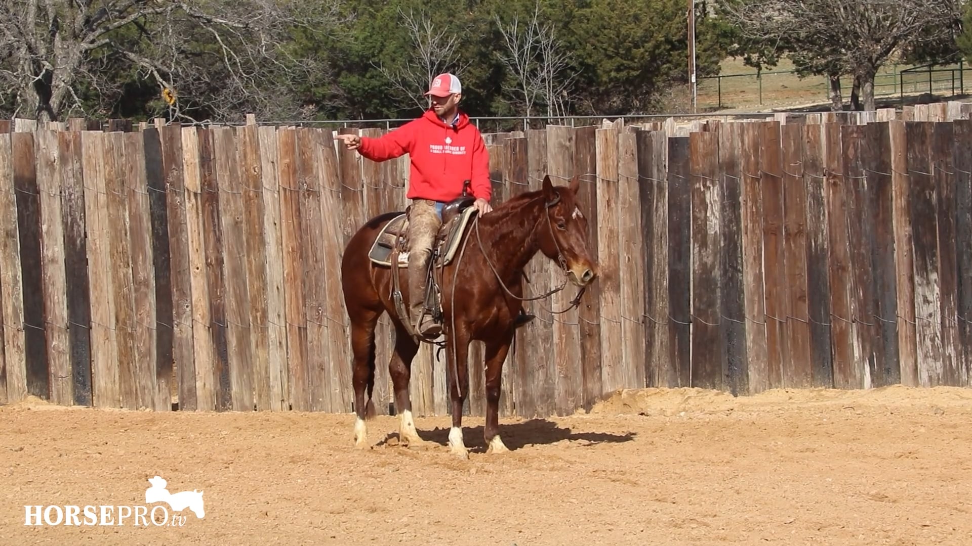 Episode 8: Ranch Mare Week 8 of 3 Year Old Year / Queen L Week 8 of 2 Year Old Year