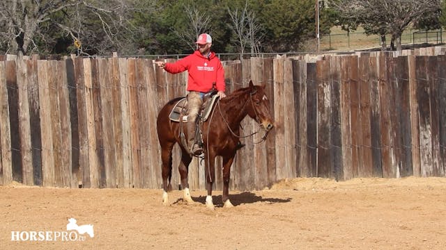 Episode 8: Ranch Mare Week 8 of 3 Yea...