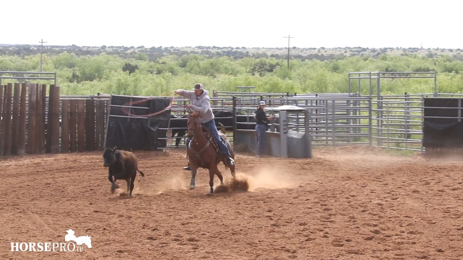 Roping on a Nervous Horse