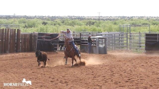 Roping on a Nervous Horse