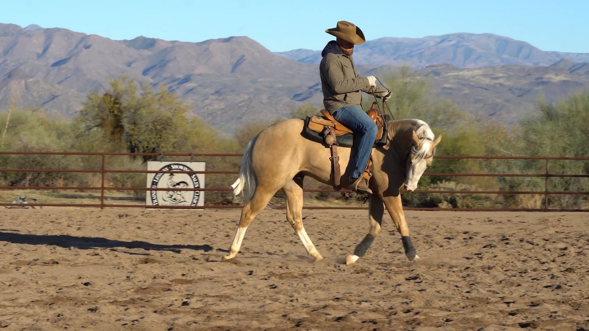 Episode 2: Steering and Shoulder Control on a Green Horse