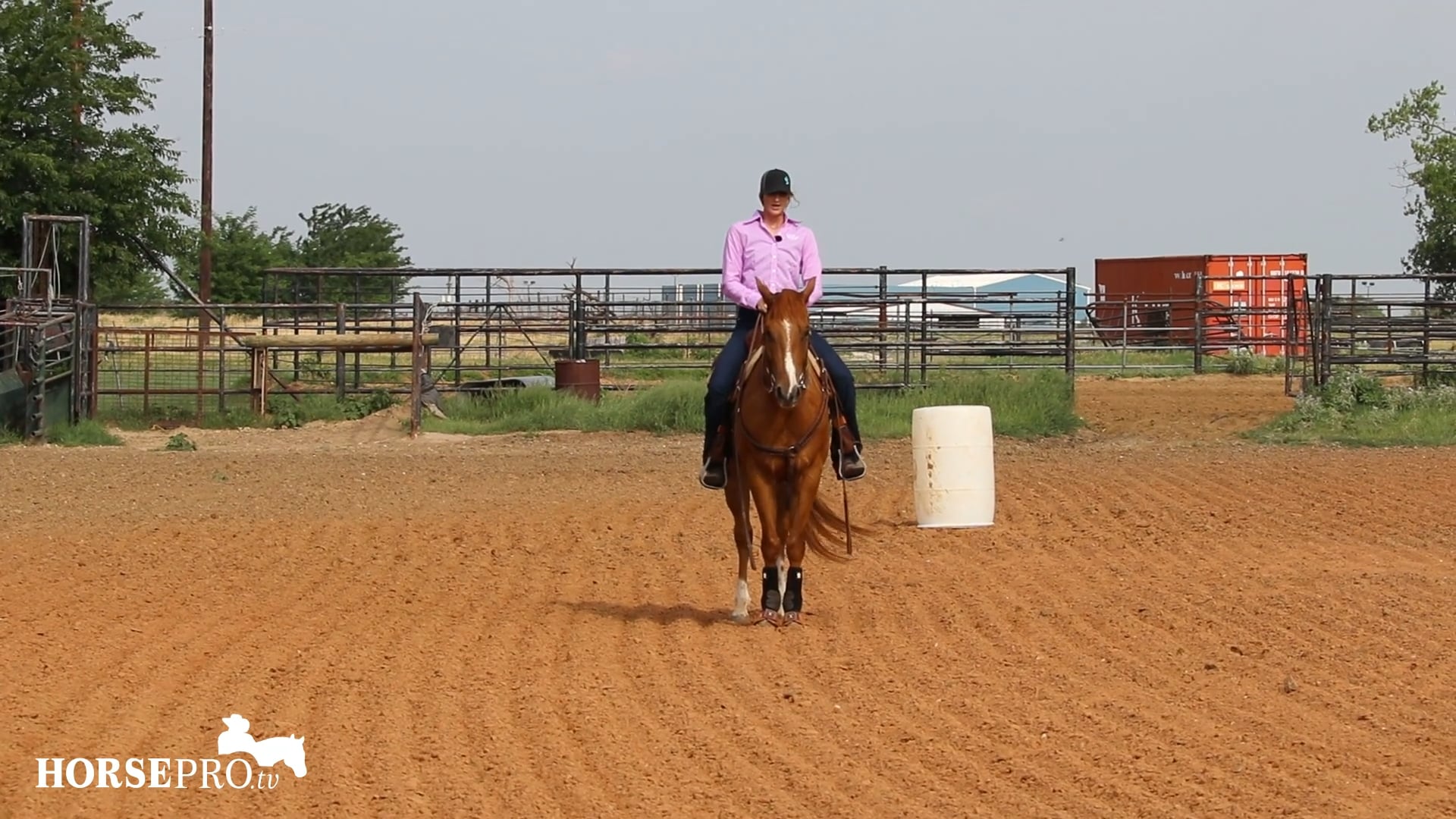 Warming Up a Green Horse to Work the Pattern (Barney)