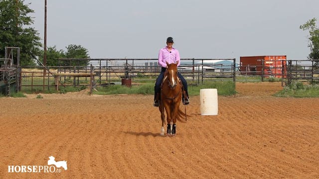 Warming Up a Green Horse to Work the ...