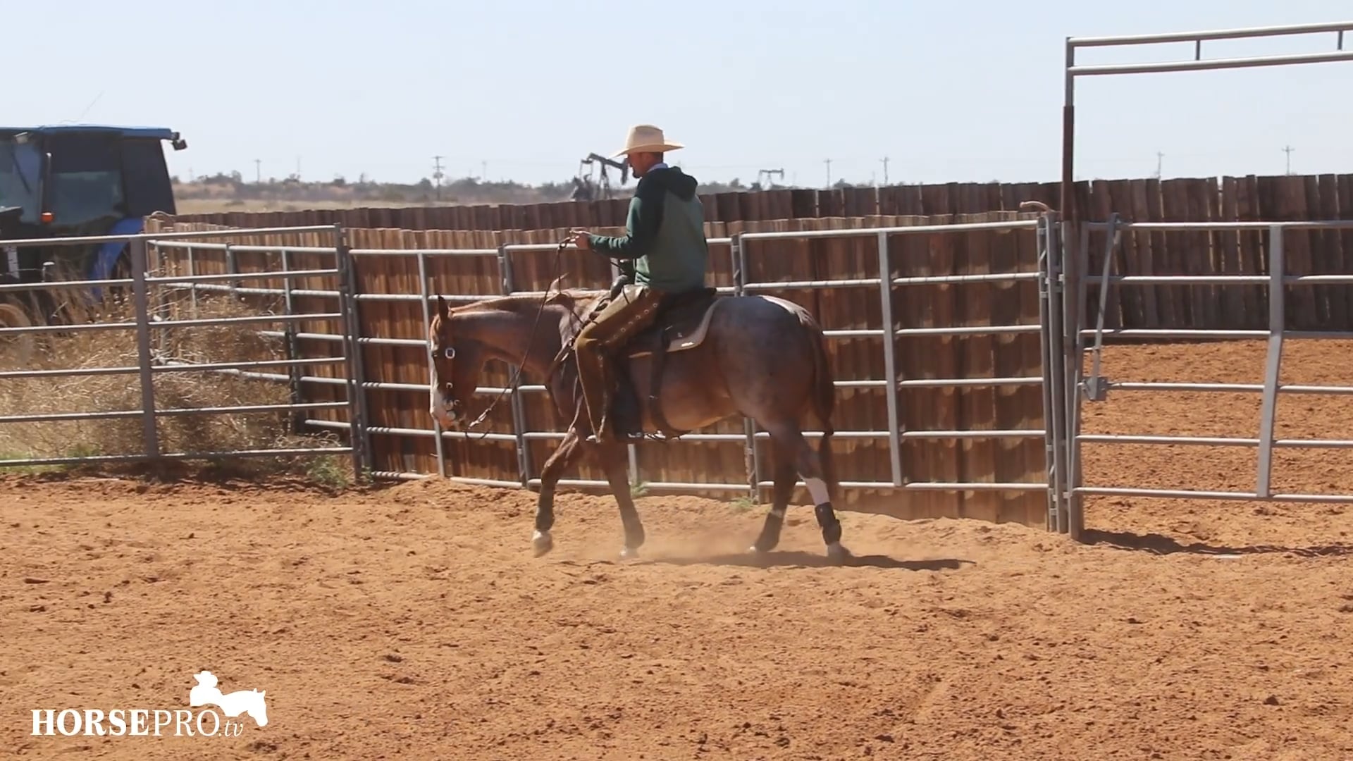 Relaxing a Horse in the Run Down