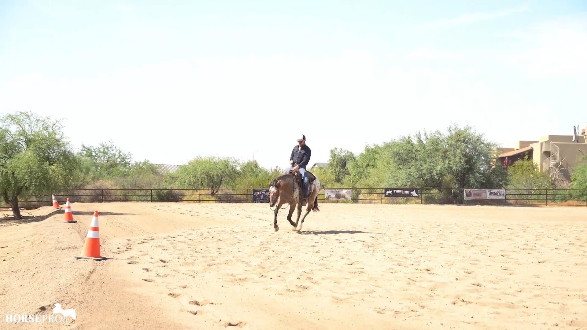 Episode 17: Loping Jacs
