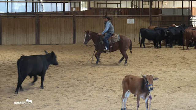 Episode 1: Working a 3 Year Old Prepa...