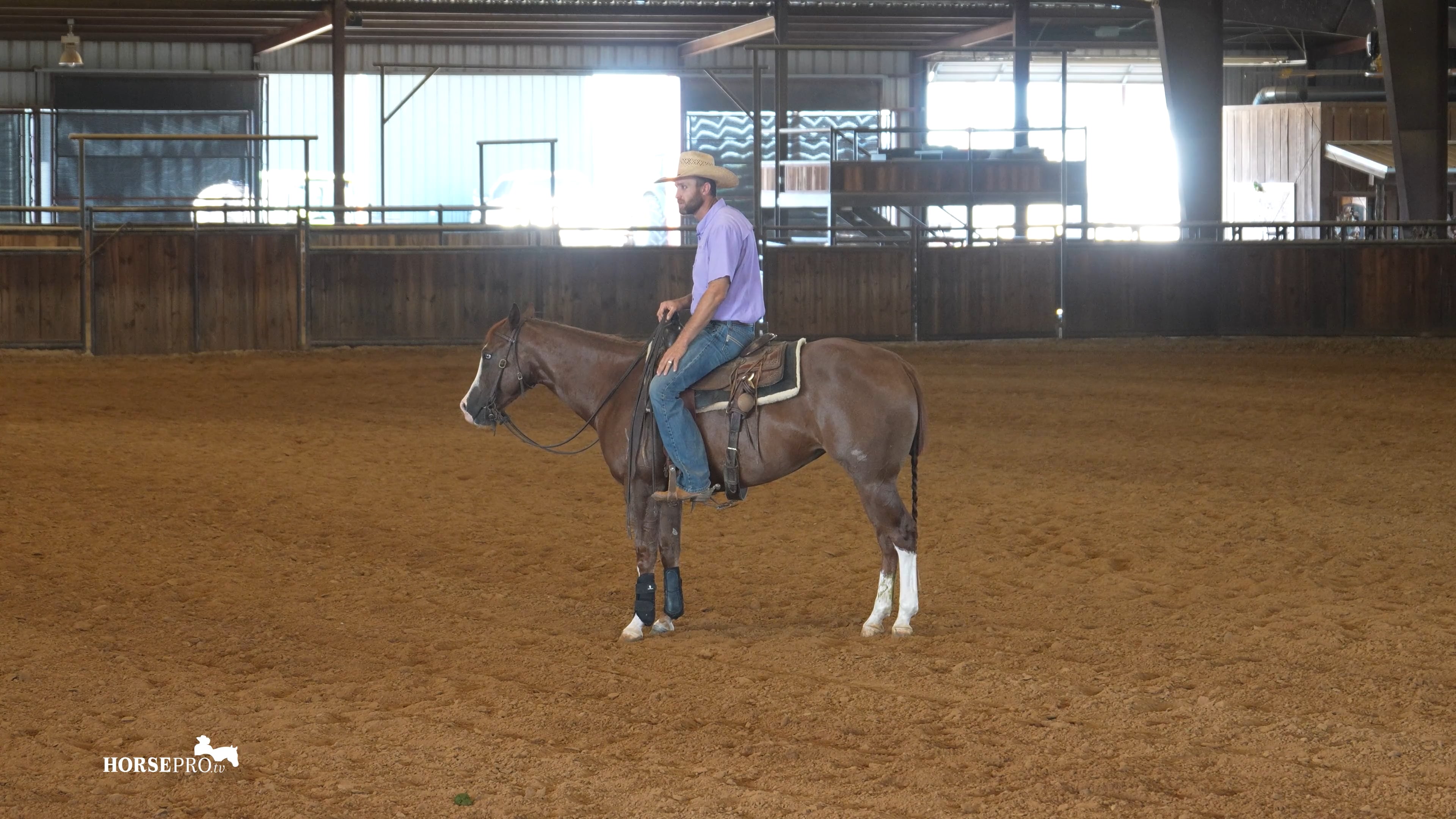 Episode 12: Cleaning Up the Turn Around on a 3 Year Old After A Show