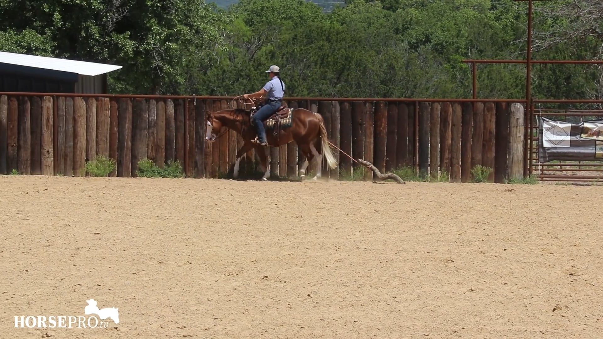 Episode 11: Going through a Trail Course