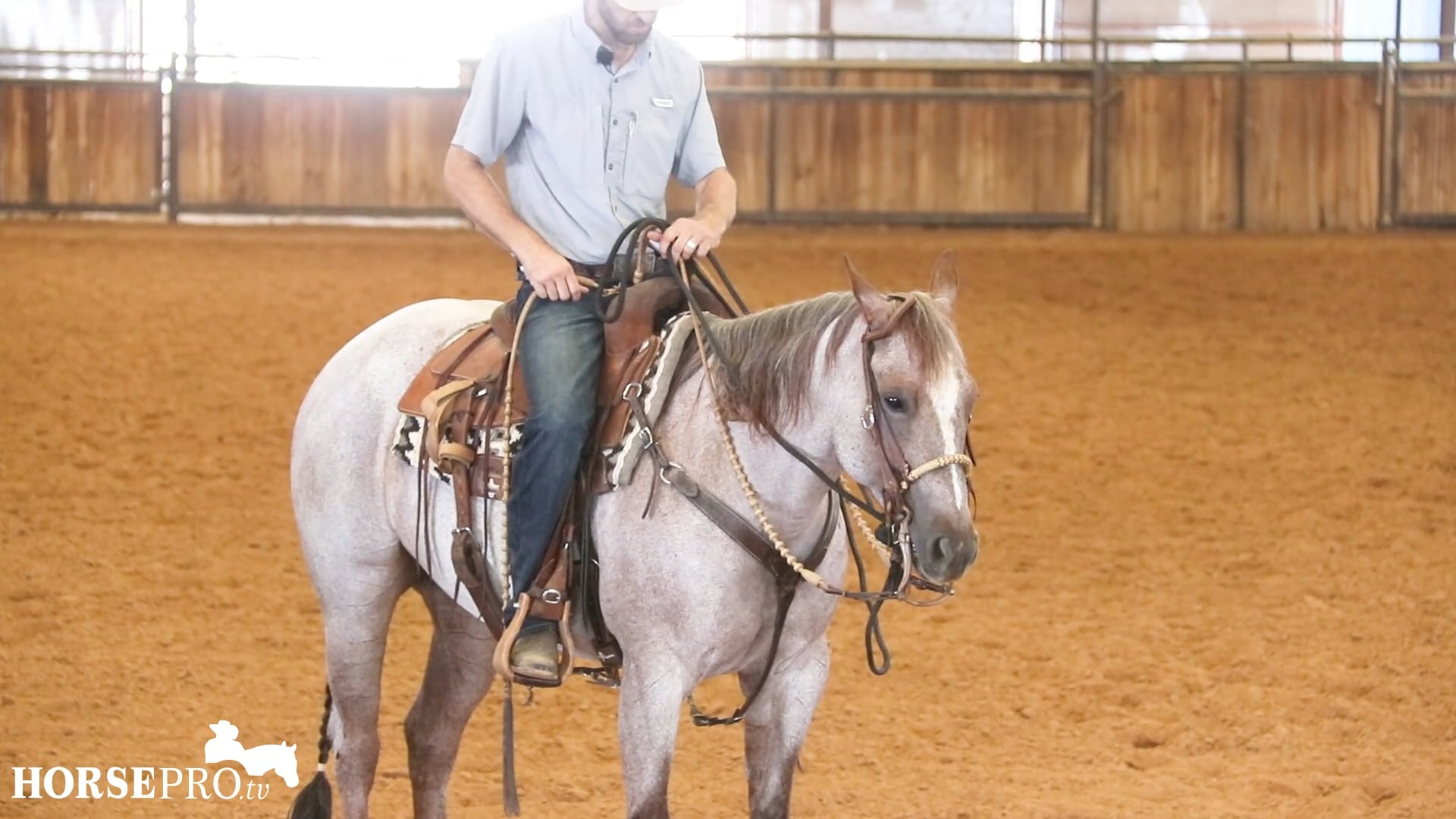 Episode 23: Steering in the Two Rein