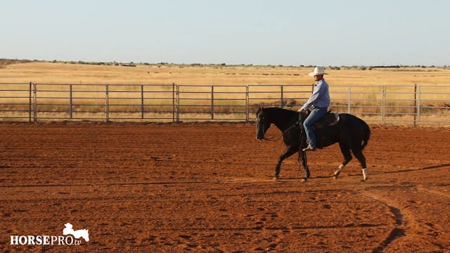 Getting a Bridle Horse Ready to Work ...