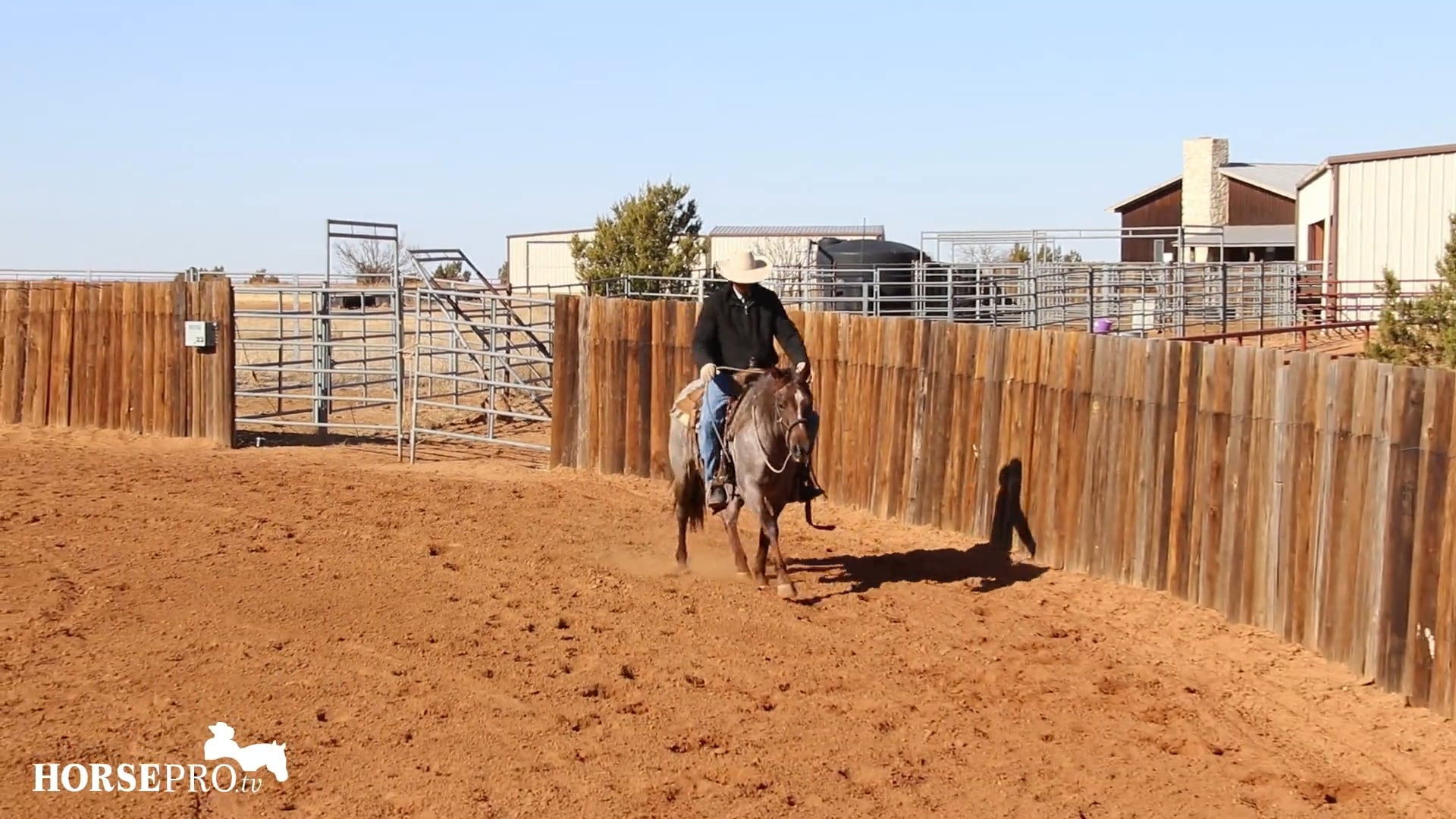 Working a Pushy Colt