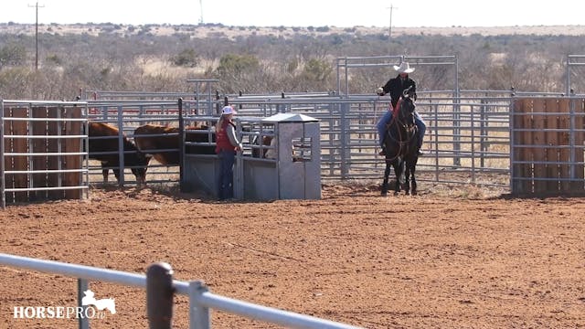 Reading Cattle Out of the Box Part 1