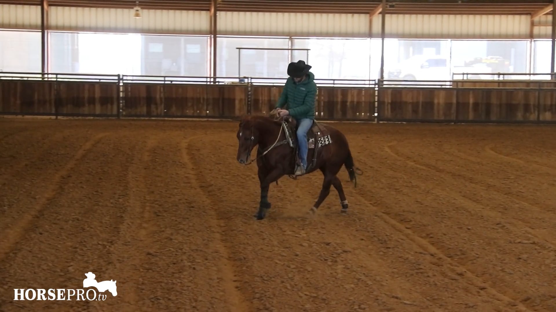 Episode 2: Steering a Bridle Horse