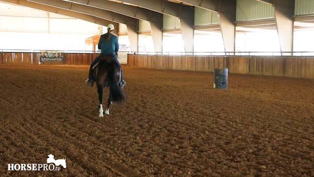 Asking a Nervous Horse to Step Up