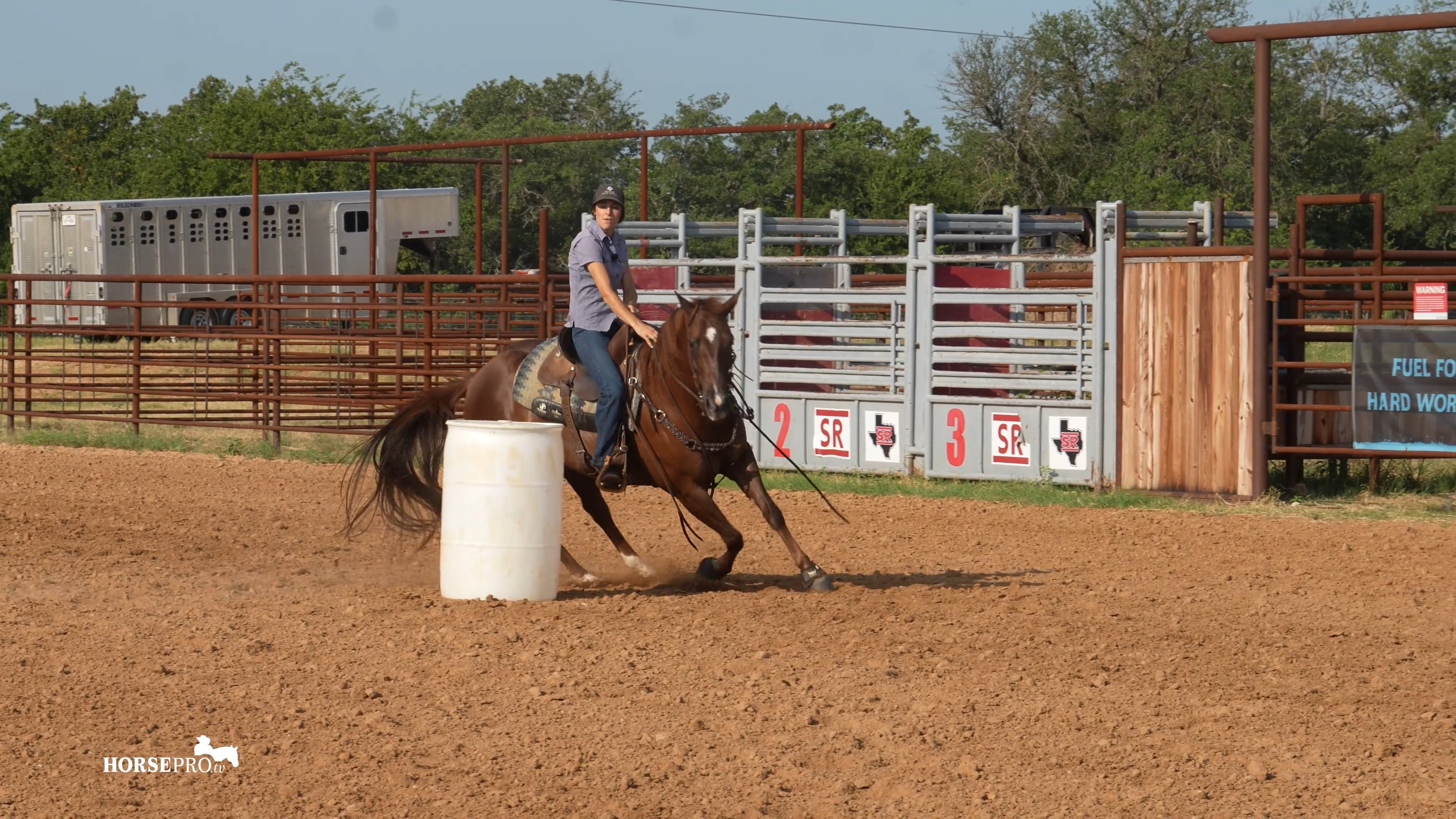 Episode 5: Keeping Speed on a Finished Horse