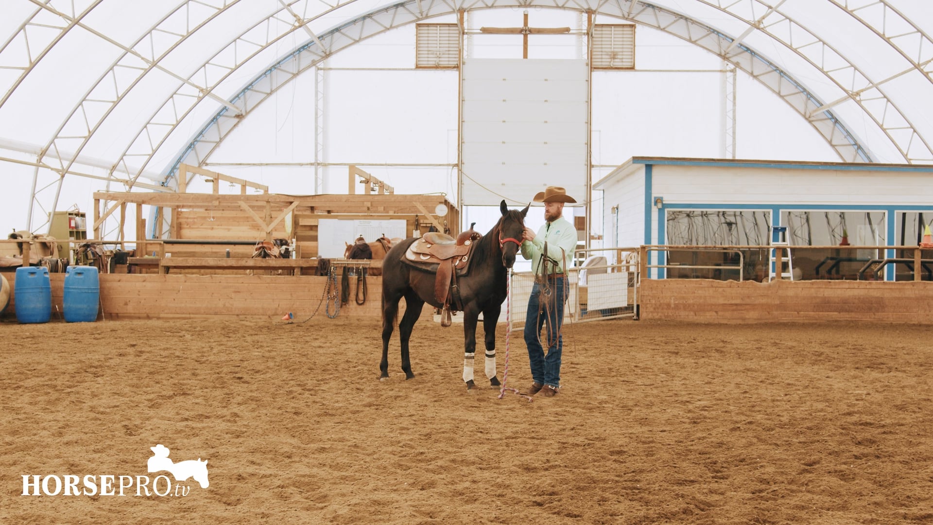 Episode 7: Groundwork Prep for First Ride