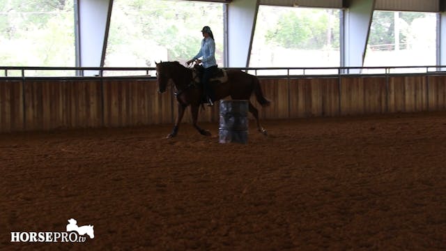 Helping a Horse That Tends to Sling I...