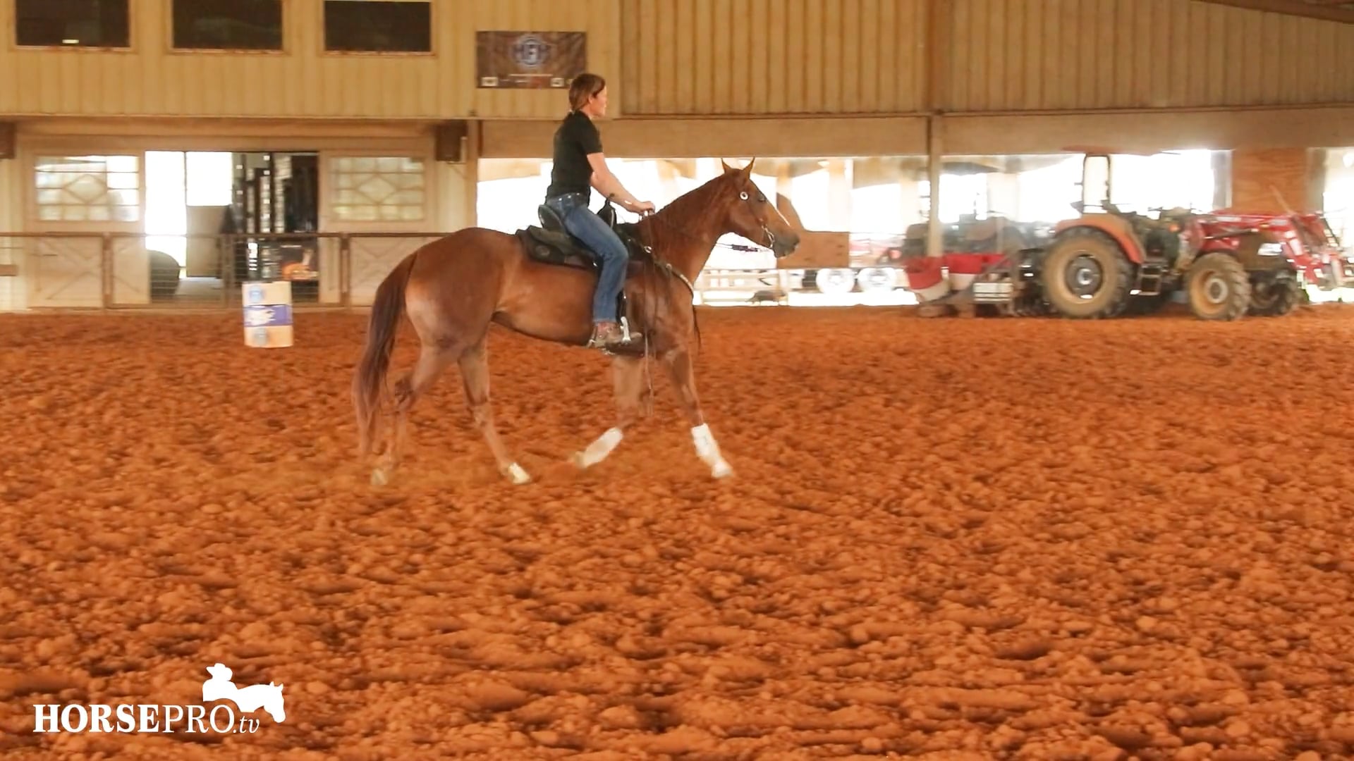 Episode 4: Working a Horse with 3 Weeks on the Pattern