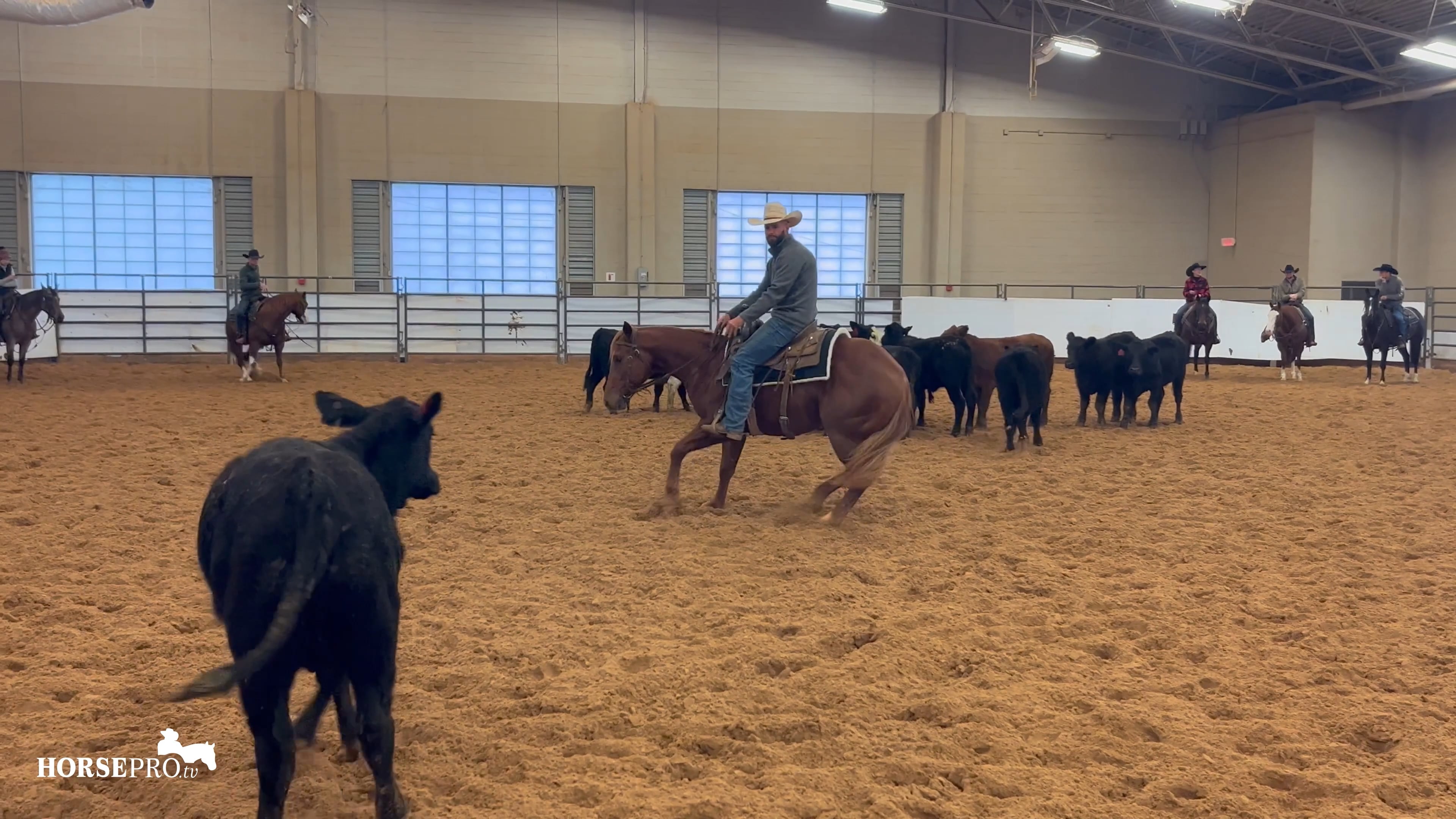 Episode 15: Practice Pen Before Sale Day