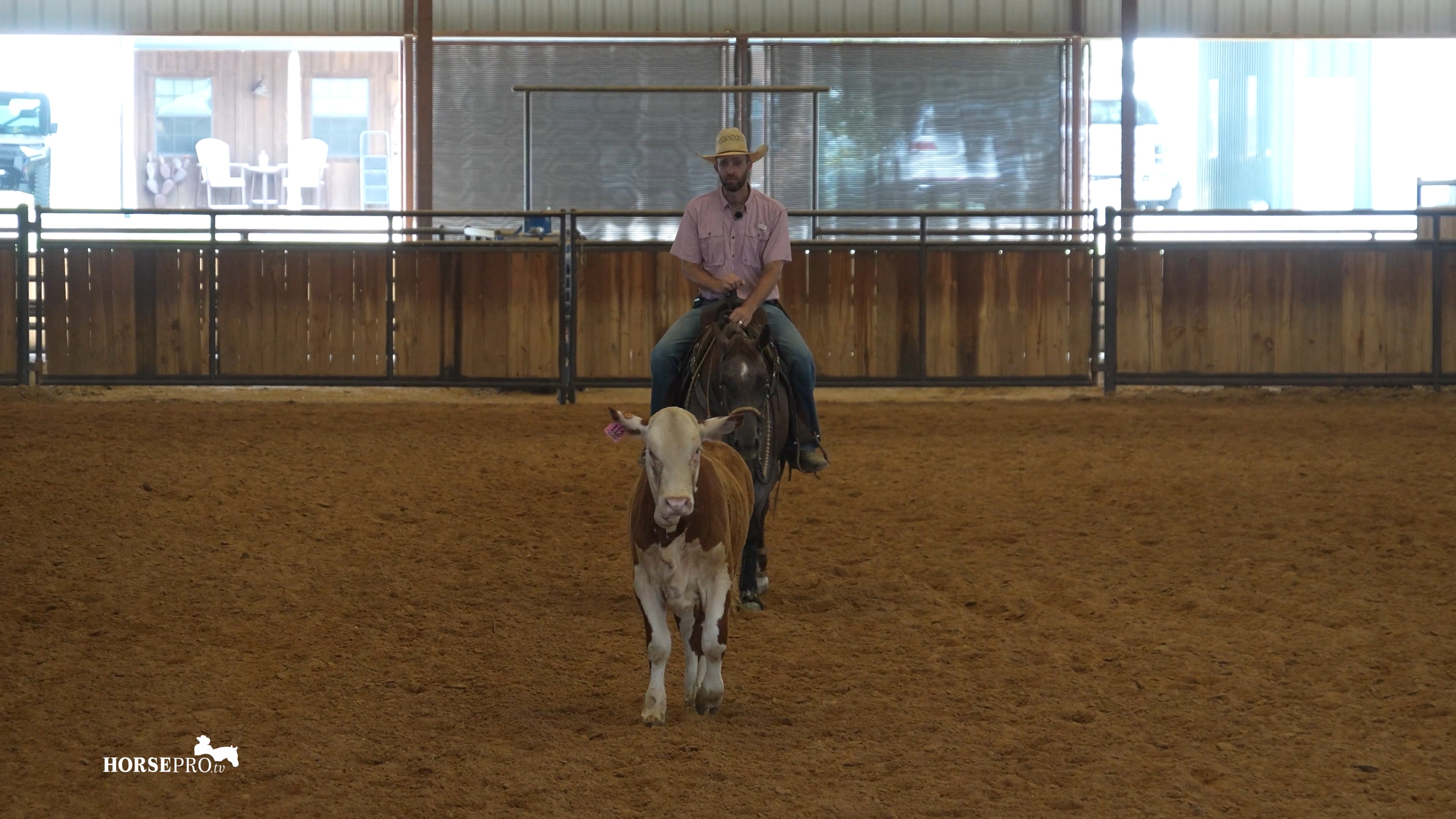 Episode 15: Fence Work on a Two Rein Horse