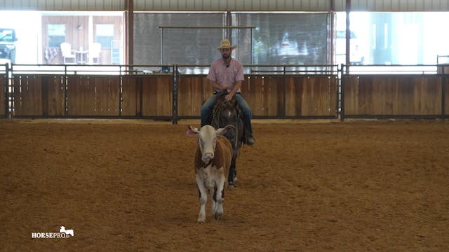Episode 15: Fence Work on a Two Rein ...