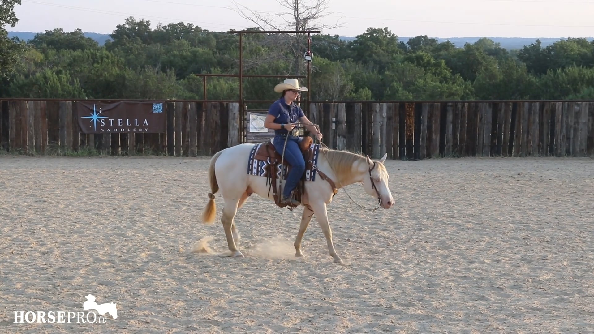 Episode 15: Steering in Romals