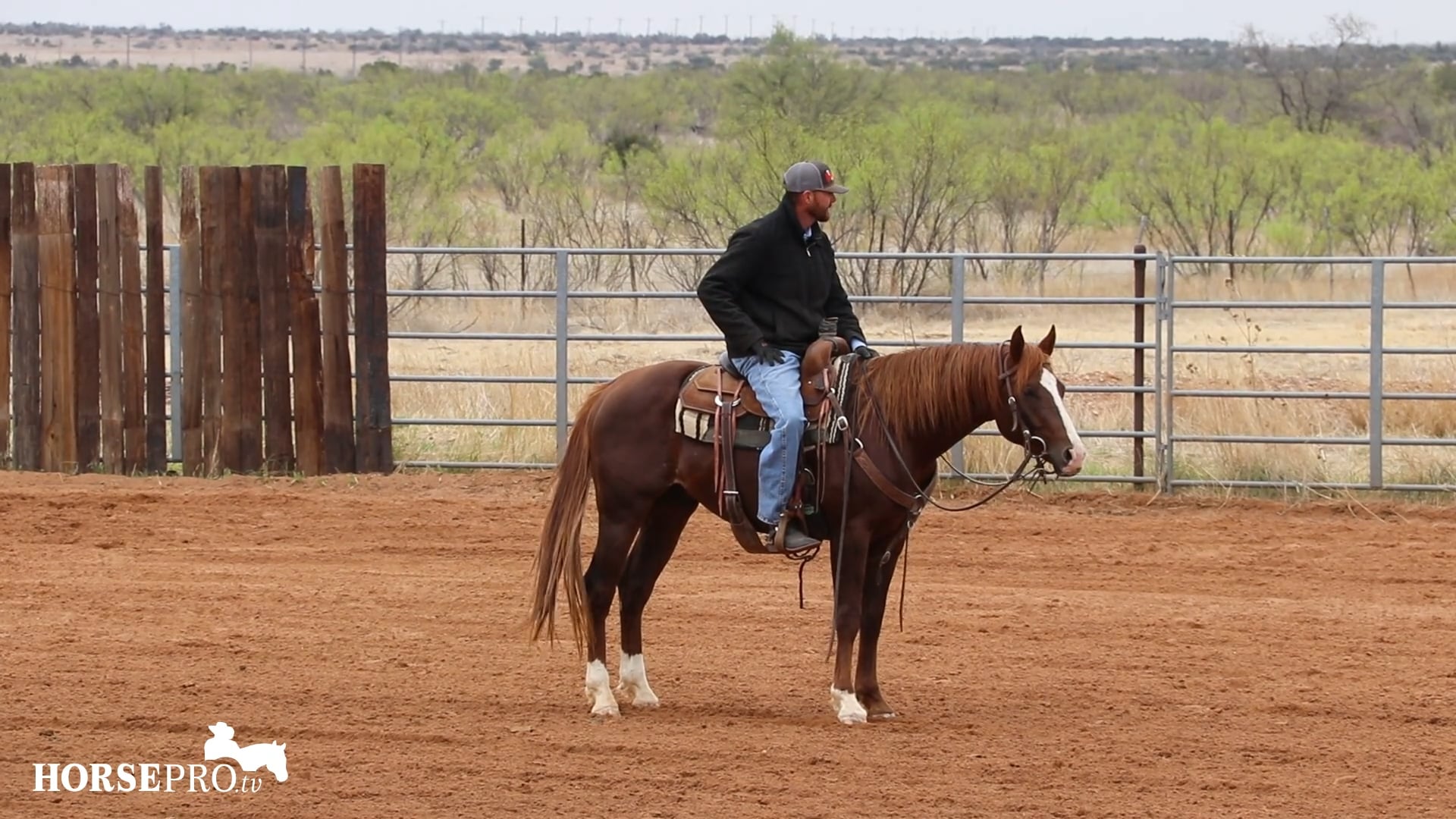 Loping and Turns with a Green Stud Colt