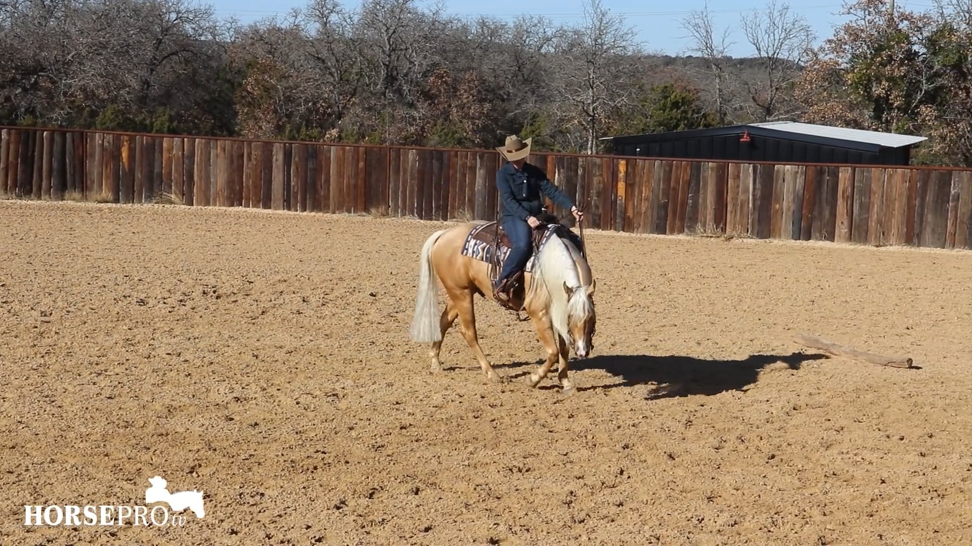 Episode 2: Evaluating Softness and Reining on a New Horse