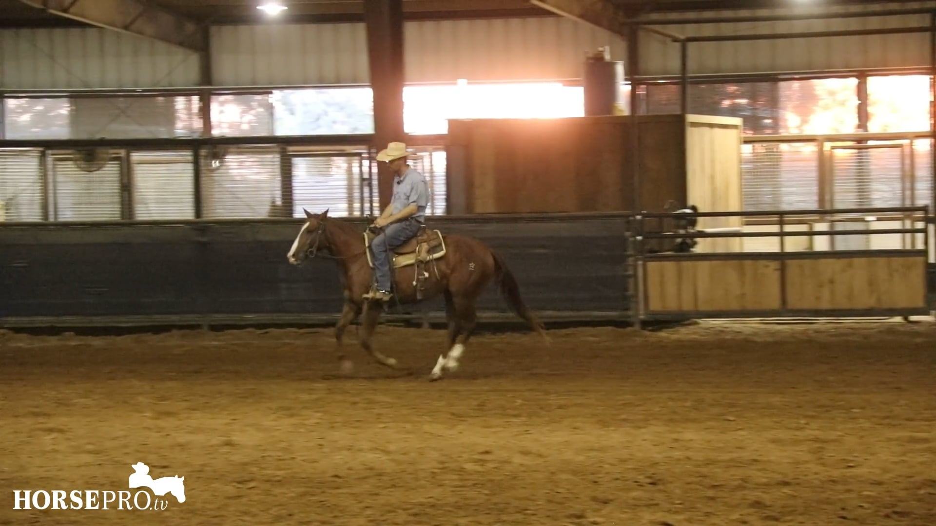 Episode 23: Loping Circles and Softening a Green Horse