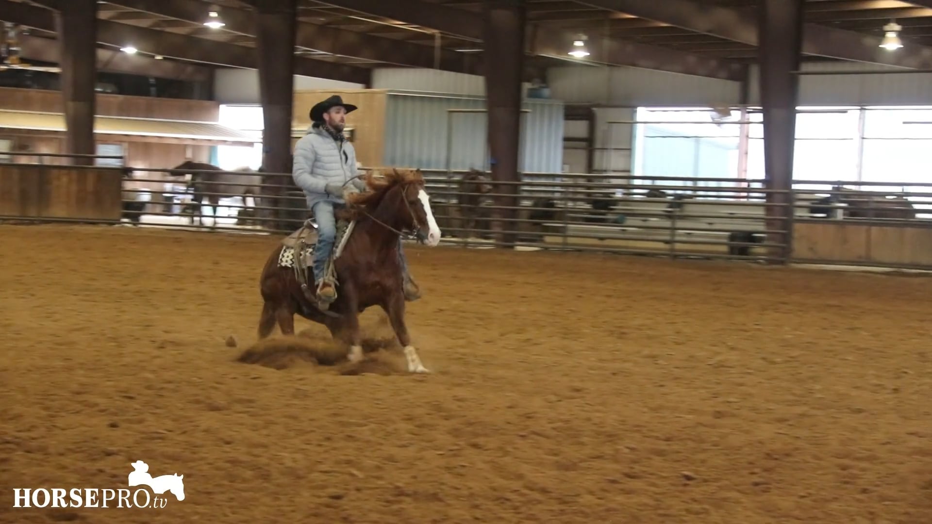 Episode 4: Working on Rundowns with a Horse that Gets Strong