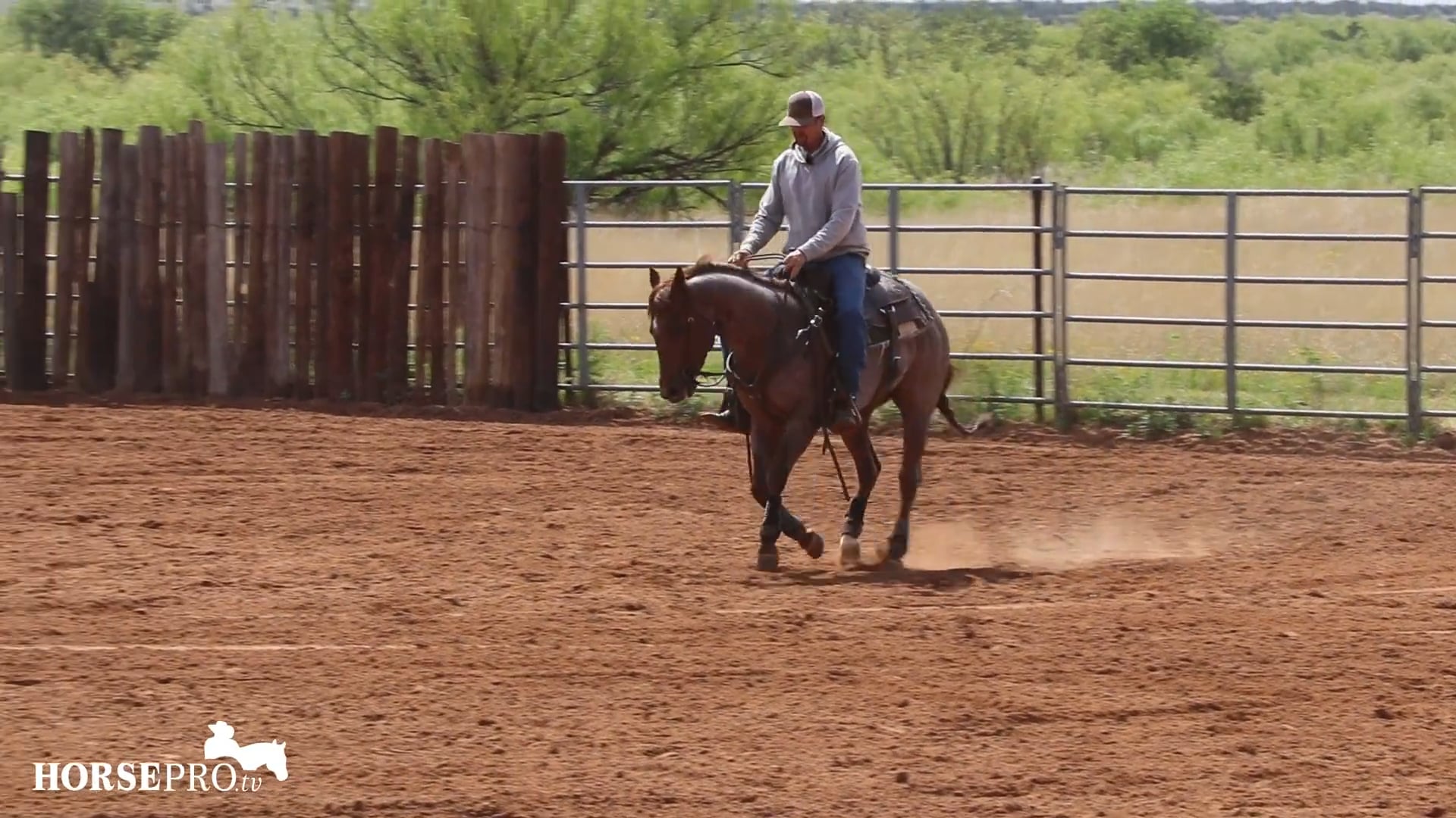 Transitioning from Cutting to Reining