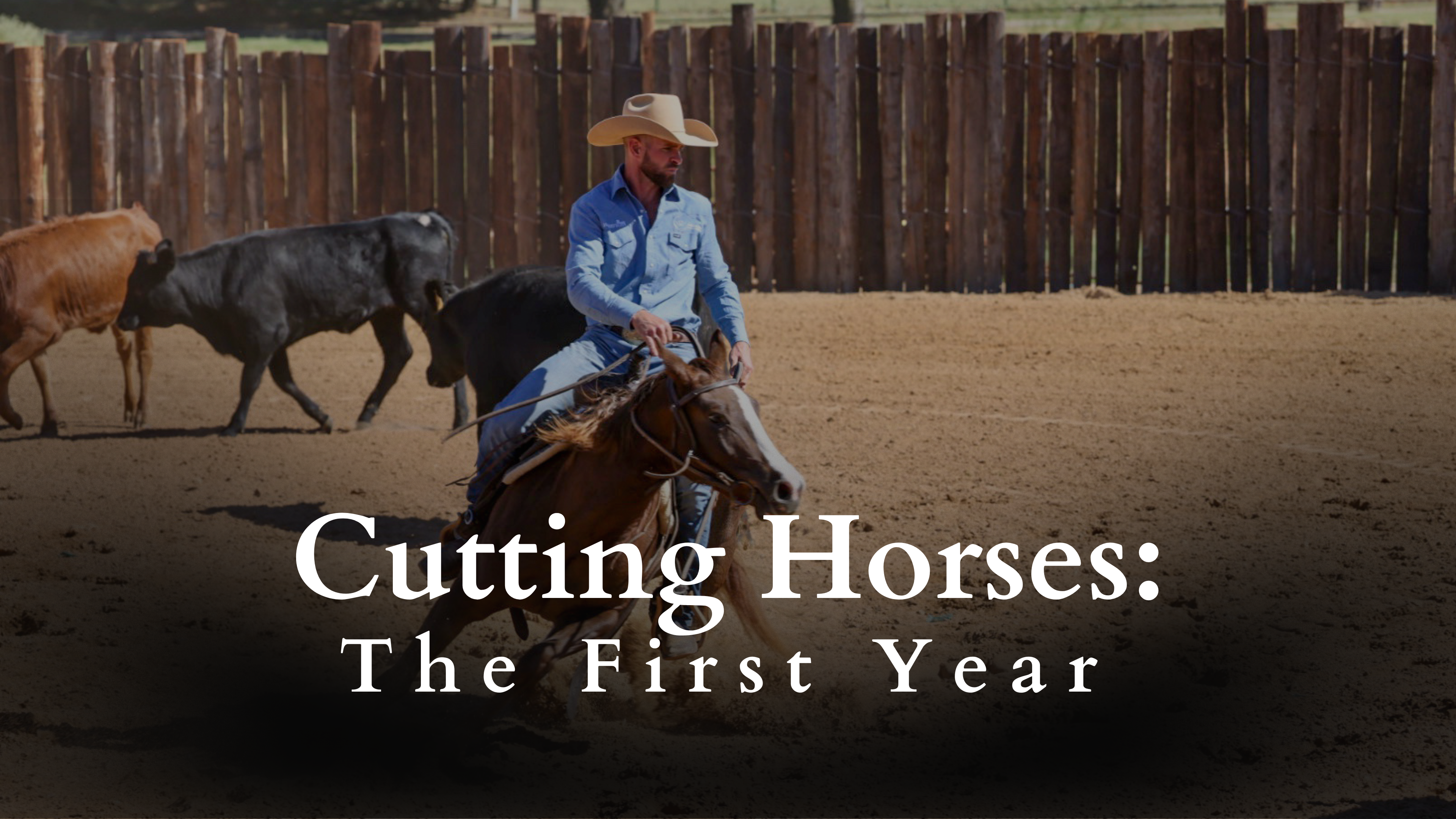 Cutting Horses: The First Year