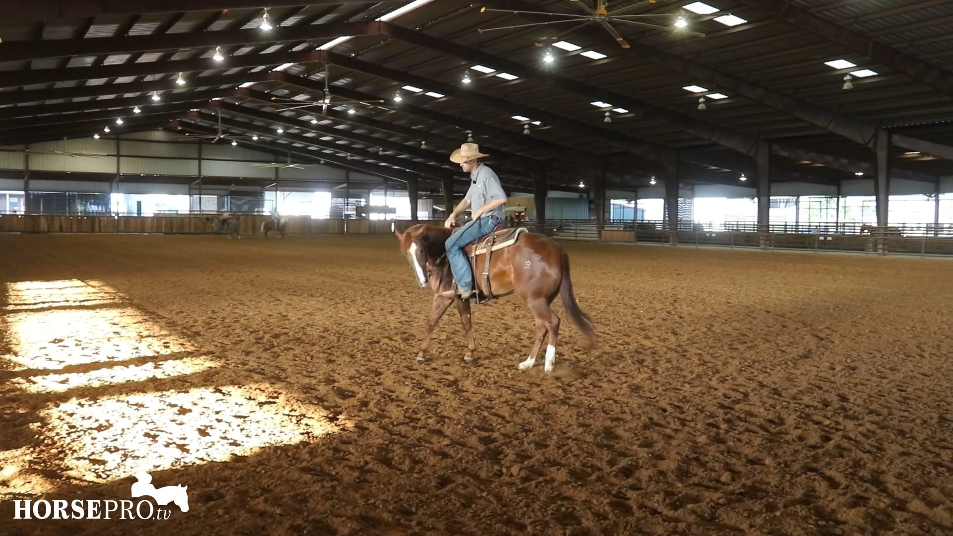 Episode 17: Getting a Stiff 2 Year Old Ready to Work