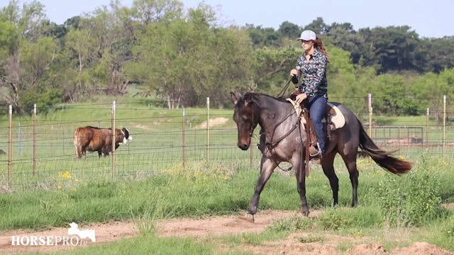 4 Barrel Drill with Summer