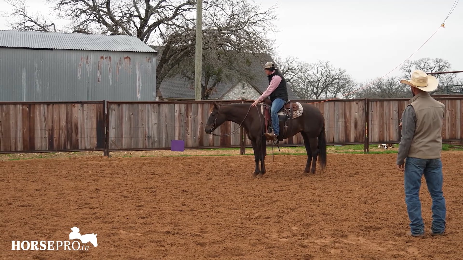 Episode 3: Schooling Your Show Horse at Home