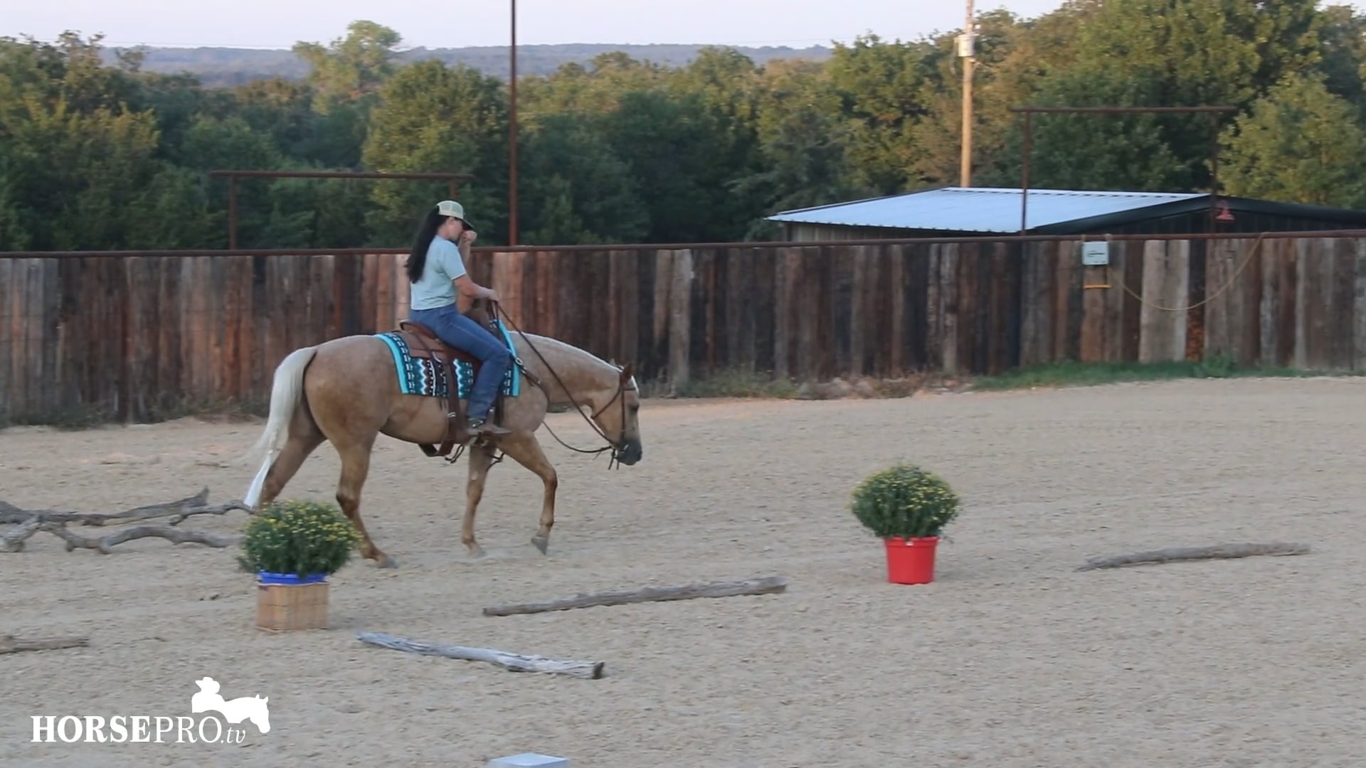 Episode 18: Warming Up a New Horse from a Reining Program